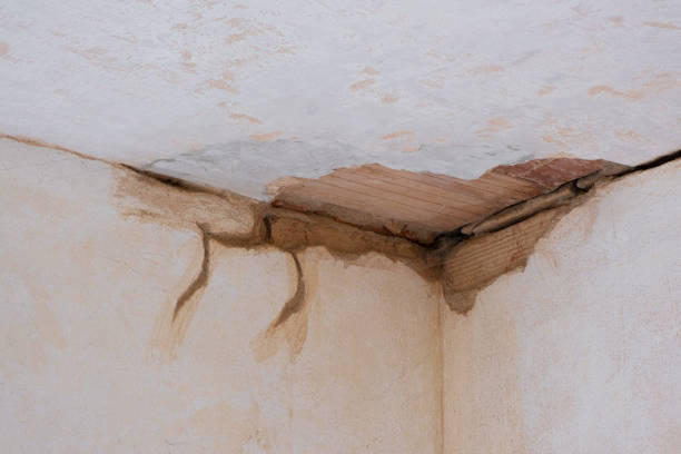 Best Carpet water damage restoration  in Westville, NJ