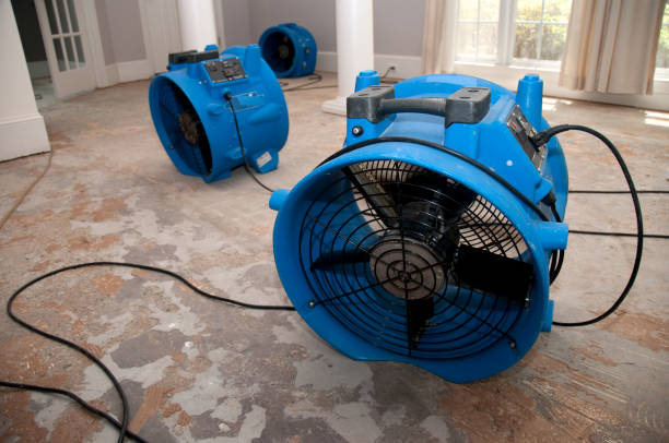 Westville, NJ Water damage restoration Company