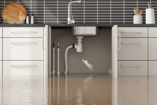 Best Water damage contractors near me  in Westville, NJ