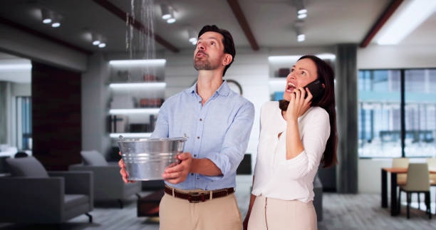 Best Water damage cleanup near me  in Westville, NJ