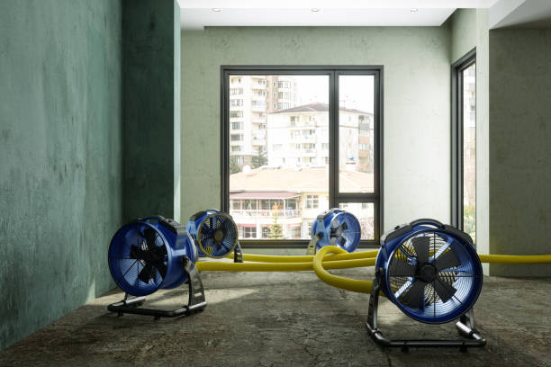 Best Emergency water damage restoration  in Westville, NJ