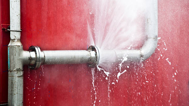 Best Flooded house restoration  in Westville, NJ